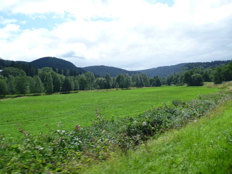 RTF Goslar Mirco 58